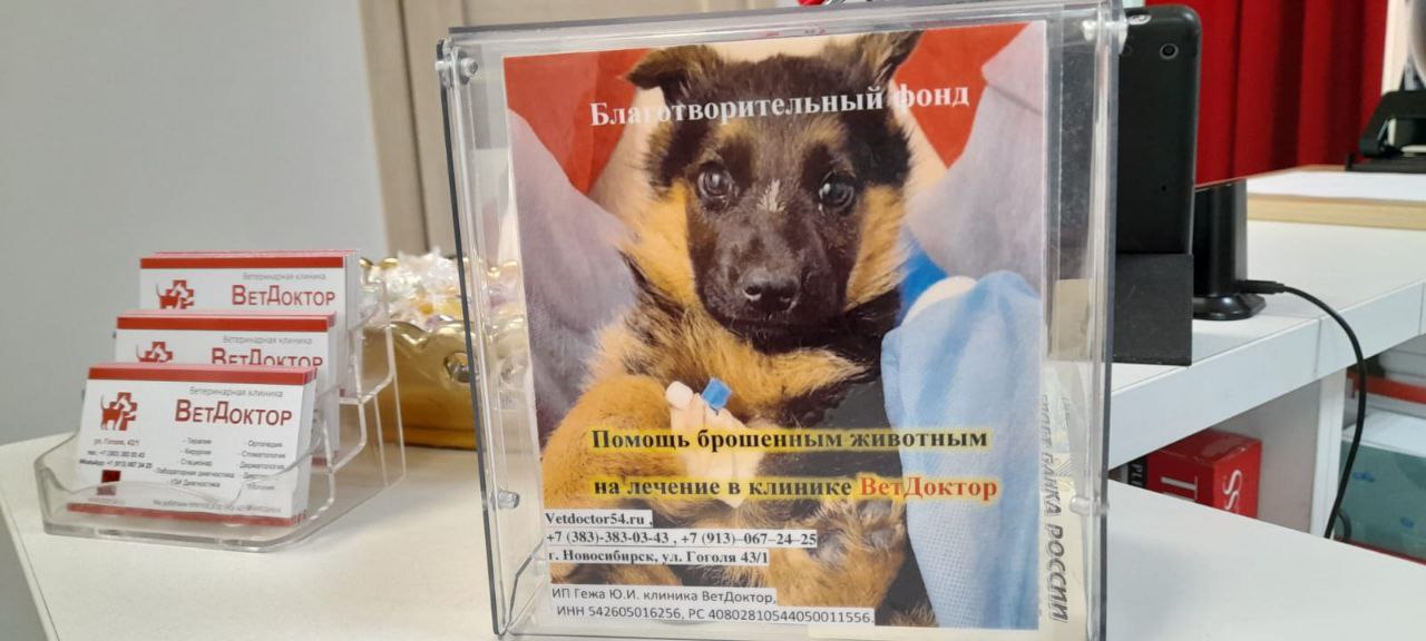 Мы открыли благотворительный фонд помощи