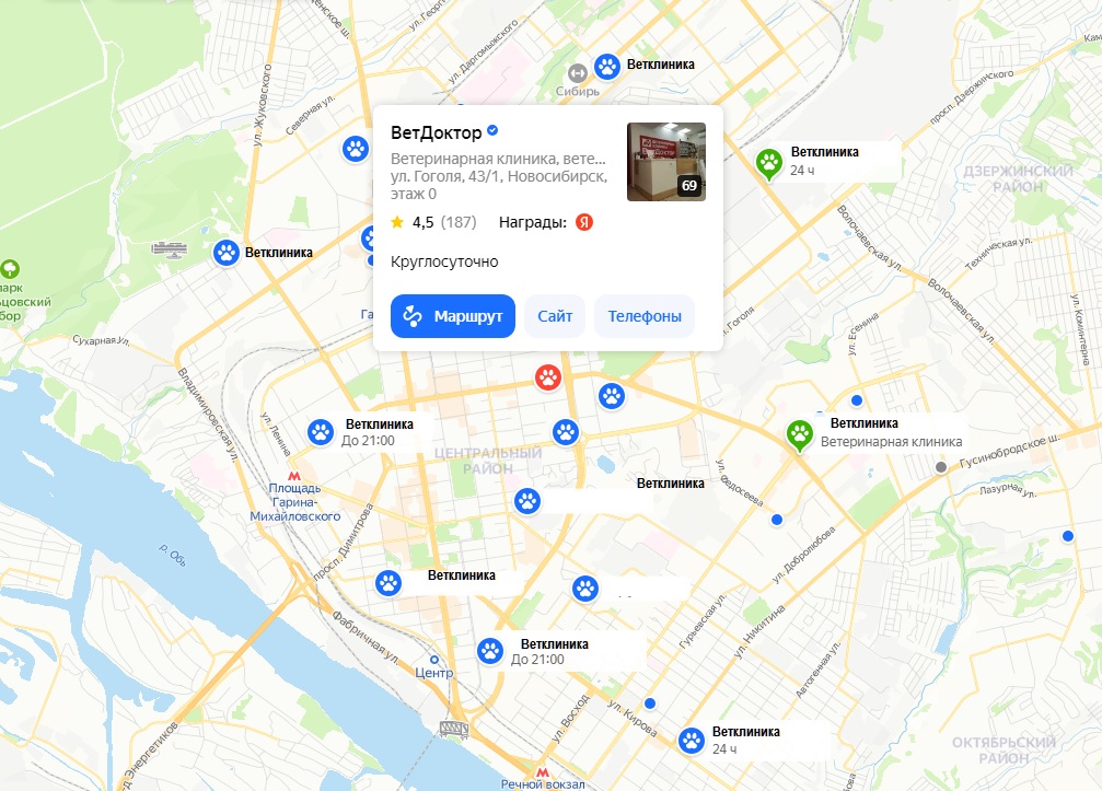 Какая клиника лучше Правильный выбор места лечения для питомца