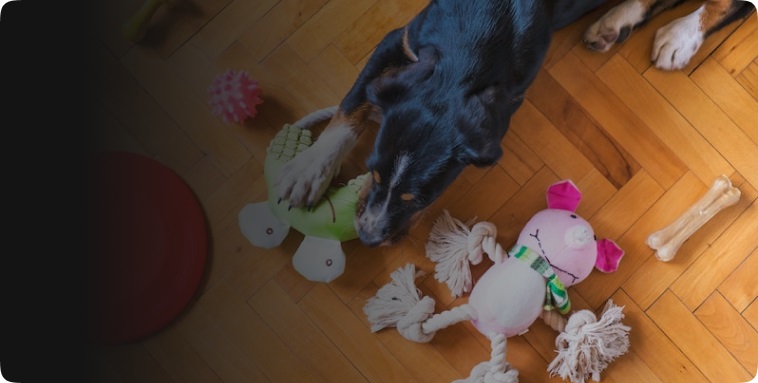 Мы работаем без выходных, у нас прозрачные цены