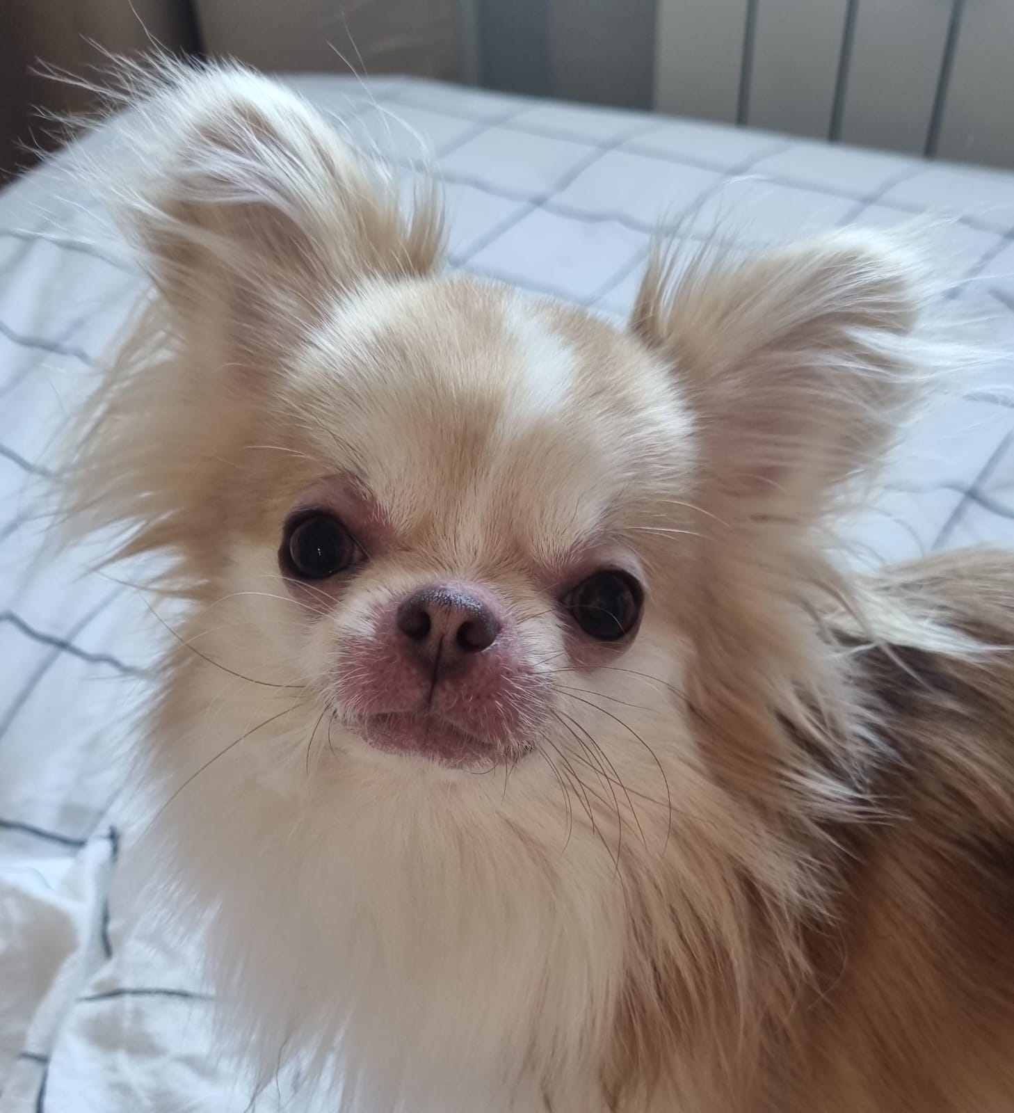 Клинический случай ювенильного гранулематозного дерматита и лимфаденита