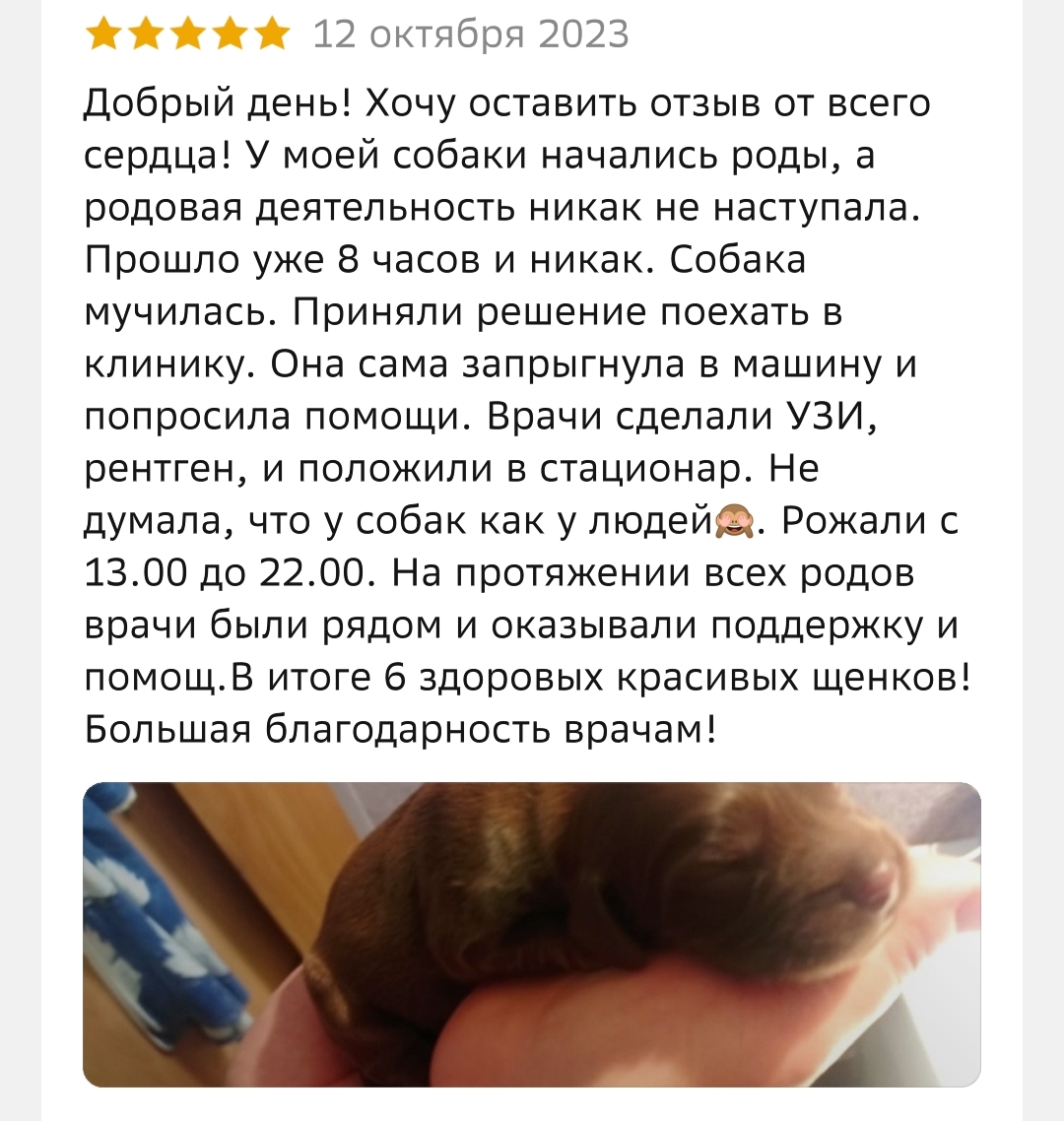 Татьяна Сафронова