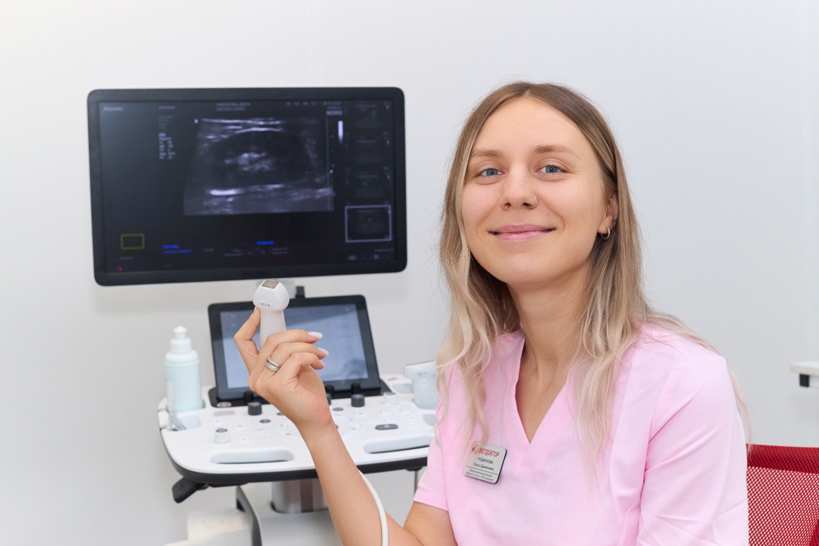 УЗИ для животных кошек и собак.