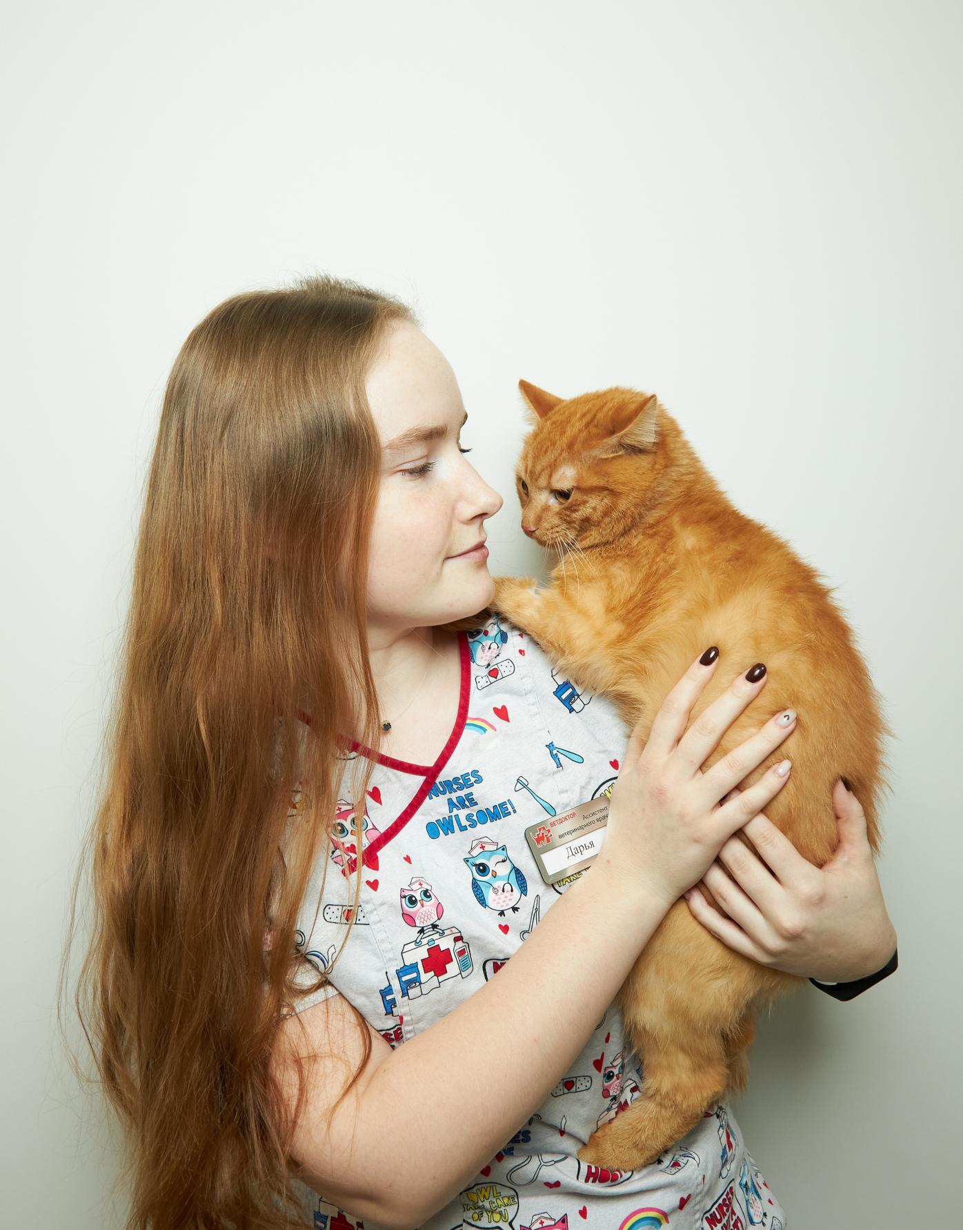 Кастрация, стерилизация 